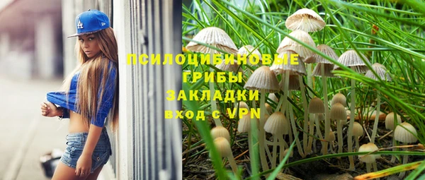 мескалин Алексин